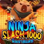 Ninja-Slash-1000-300x300